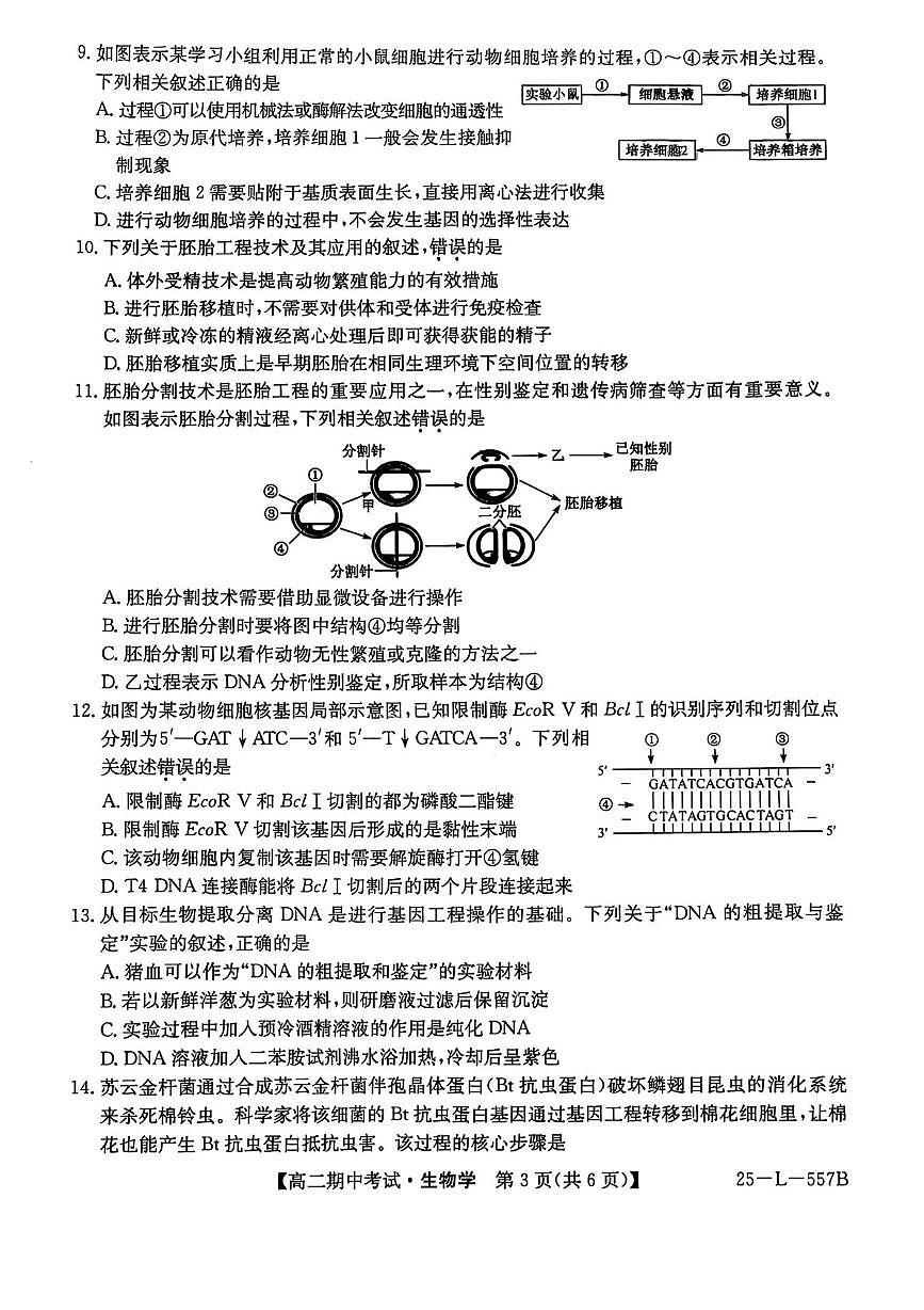 河南省开封市五校2024-2025学年高二下学期期中考试生物试卷+答案第3页