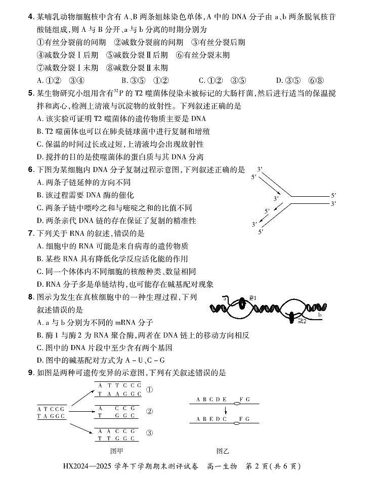 河南省安阳市滑县2024-2025学年高一下学期期末测评生物试卷第2页