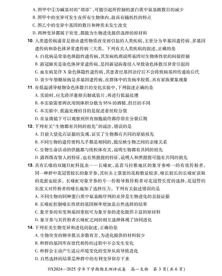 河南省安阳市滑县2024-2025学年高一下学期期末测评生物试卷第3页