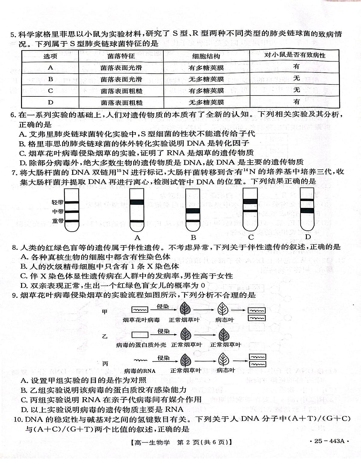 河北省邢台市质检联盟2024-2025学年高一下学期期中生物试卷+答案第2页