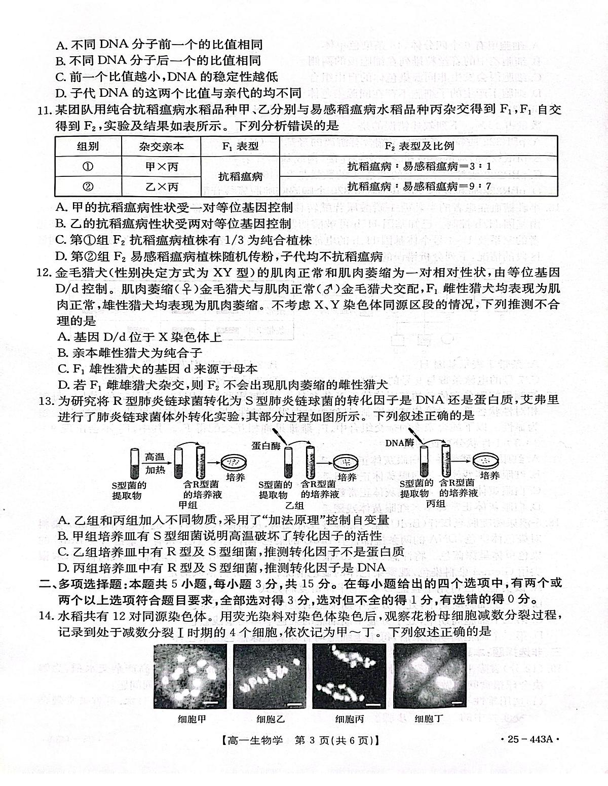 河北省邢台市质检联盟2024-2025学年高一下学期期中生物试卷+答案第3页