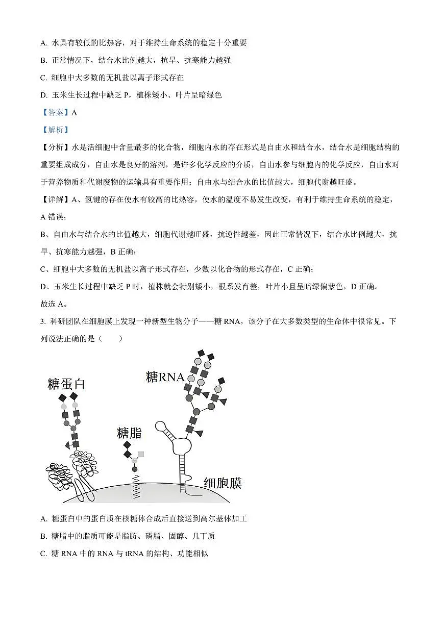 河北省石家庄市2024-2025学年高一上学期期末考试生物试卷+解析第2页