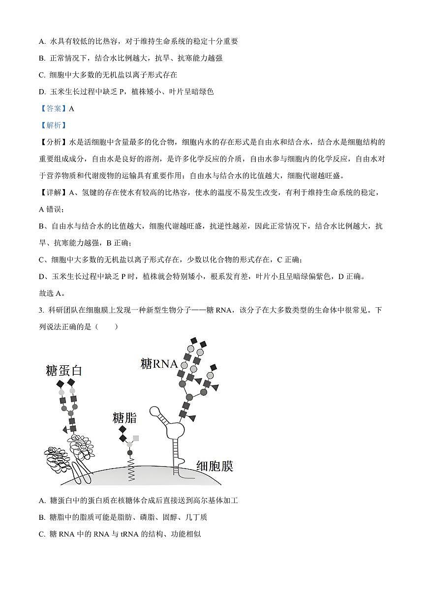河北省石家庄市2024-2025学年高一上学期期末考试生物试卷+解析第2页