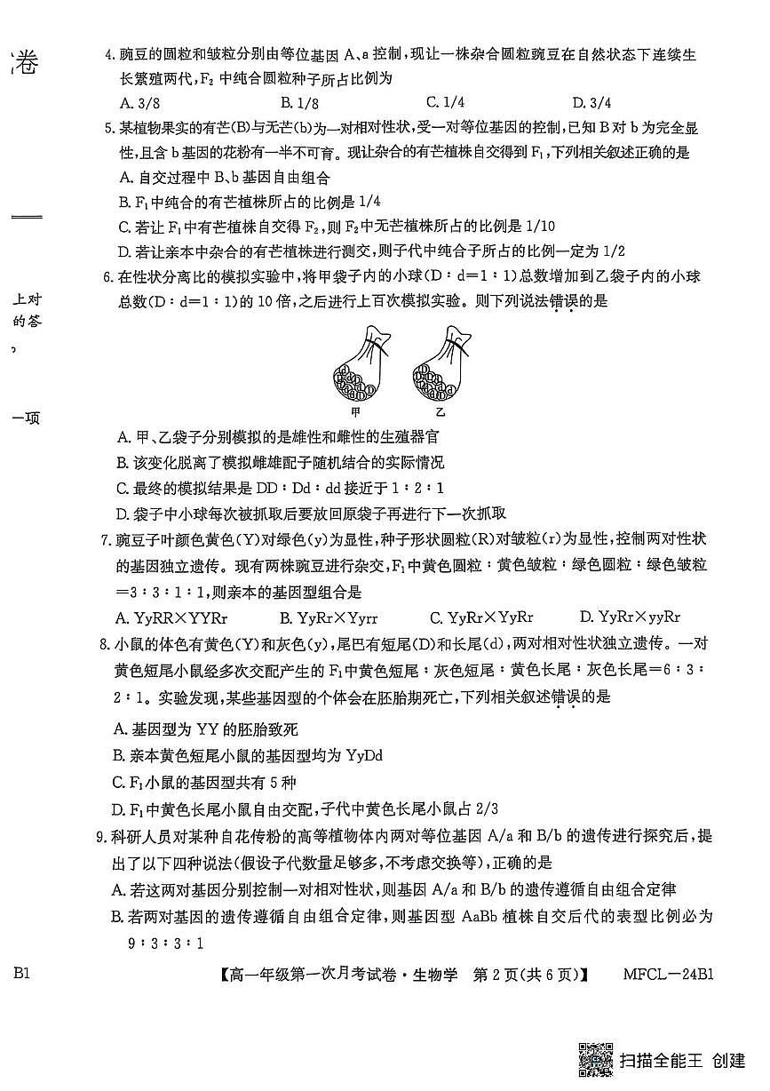 河北省沧州市四县联考2024-2025学年高一下学期3月月考生物试卷+答案第2页