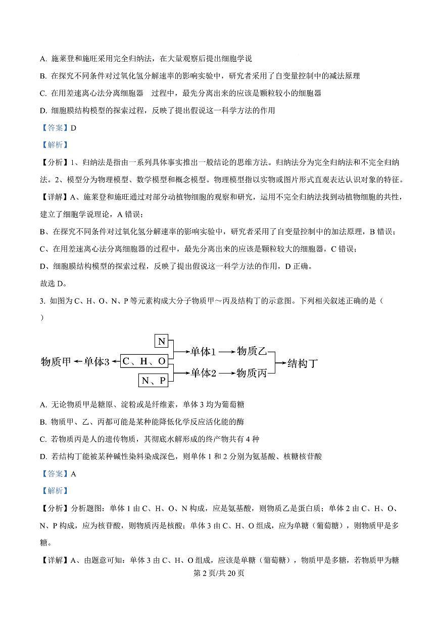 湖北省武汉市2024-2025学年高一上学期1月期末生物试题 Word版含解析第2页