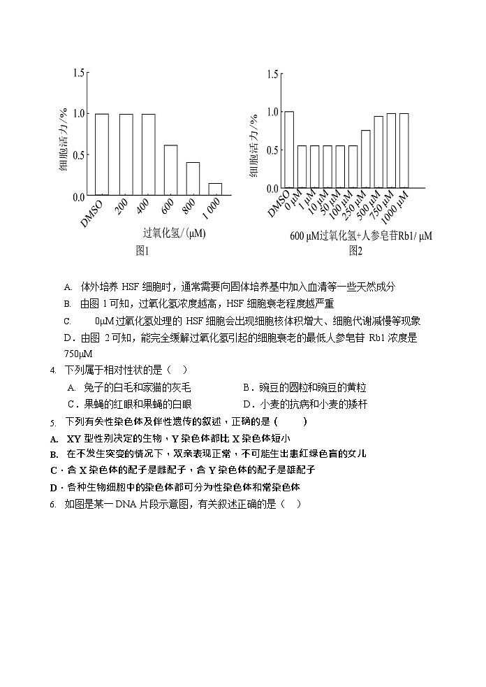 石家庄市第一中学2025-2026学年高二第一学期开学考试生物试卷第2页