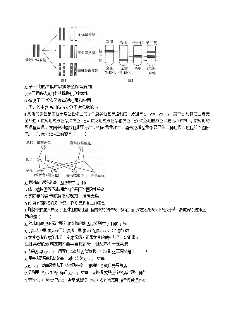 河北省邢台市名校联考2025-2026学年高二上学期开学联考生物试卷第2页