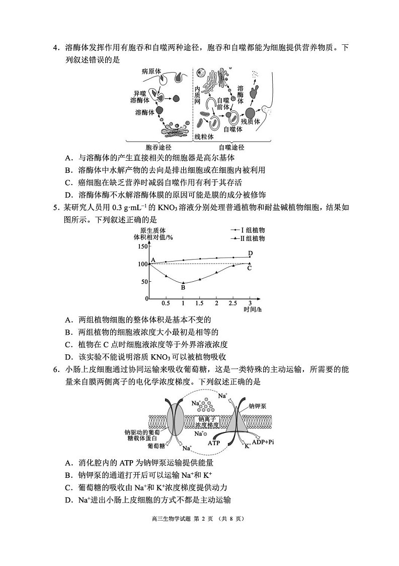 四川省成都市蓉城名校联盟2025-2026学年高三上学期开学联考生物试卷第2页