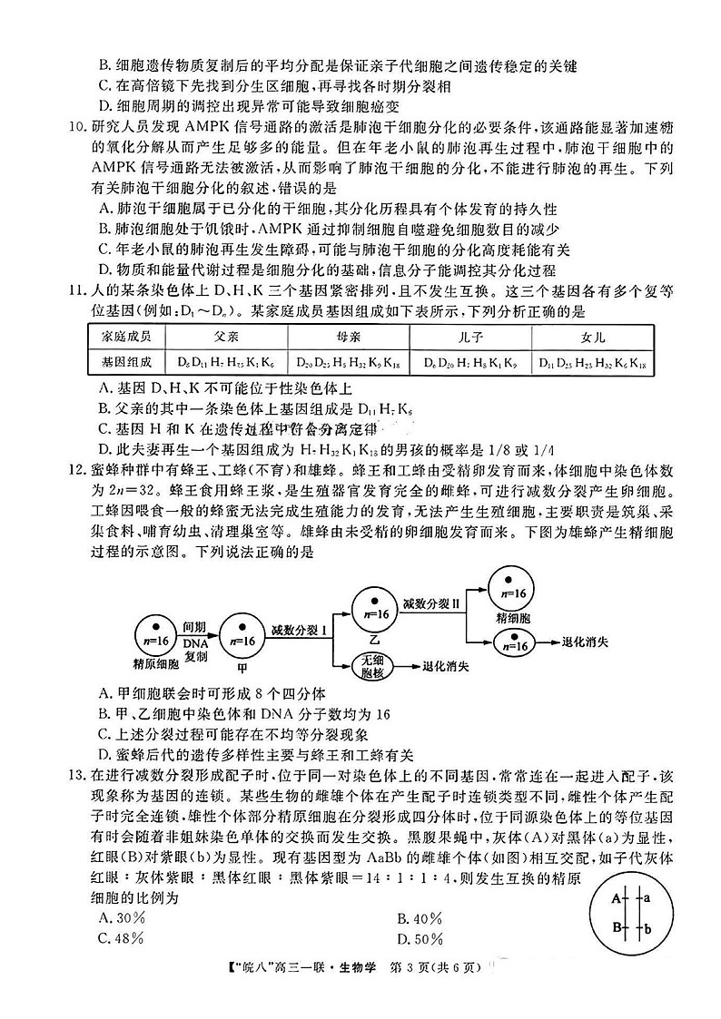 2025届安徽省皖南八校高三下学期10月第一次联考-生物试题（含答案）第3页