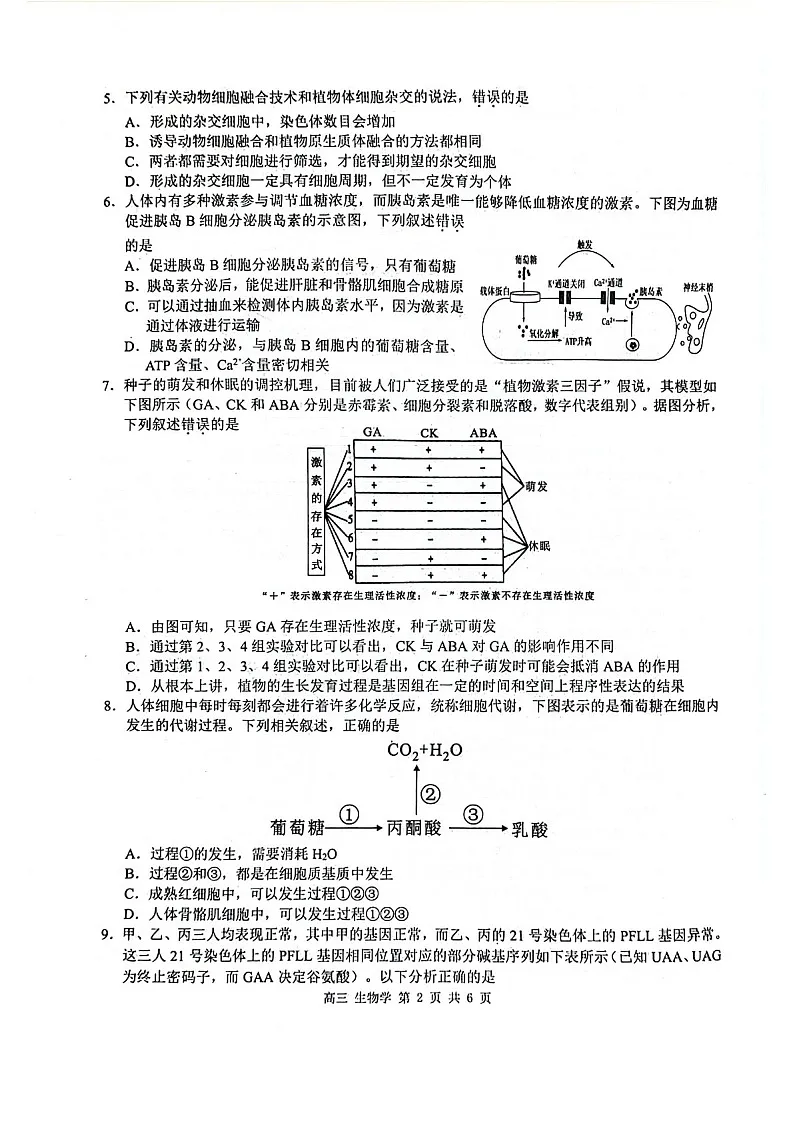 2025届广西玉林市高三下学期第一次教学质监-生物试题（含答案）第2页