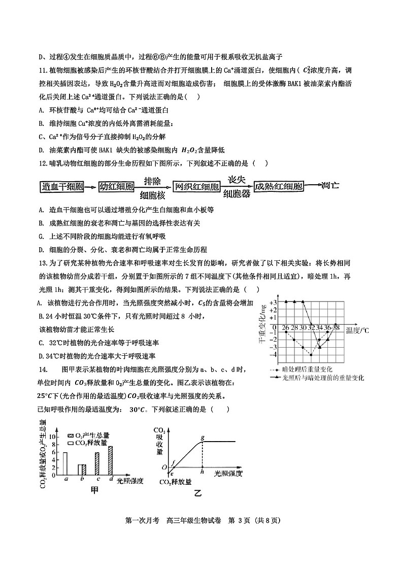 2025届天津耀华中学高三下学期10月第一次月考-生物试题（含答案）第3页
