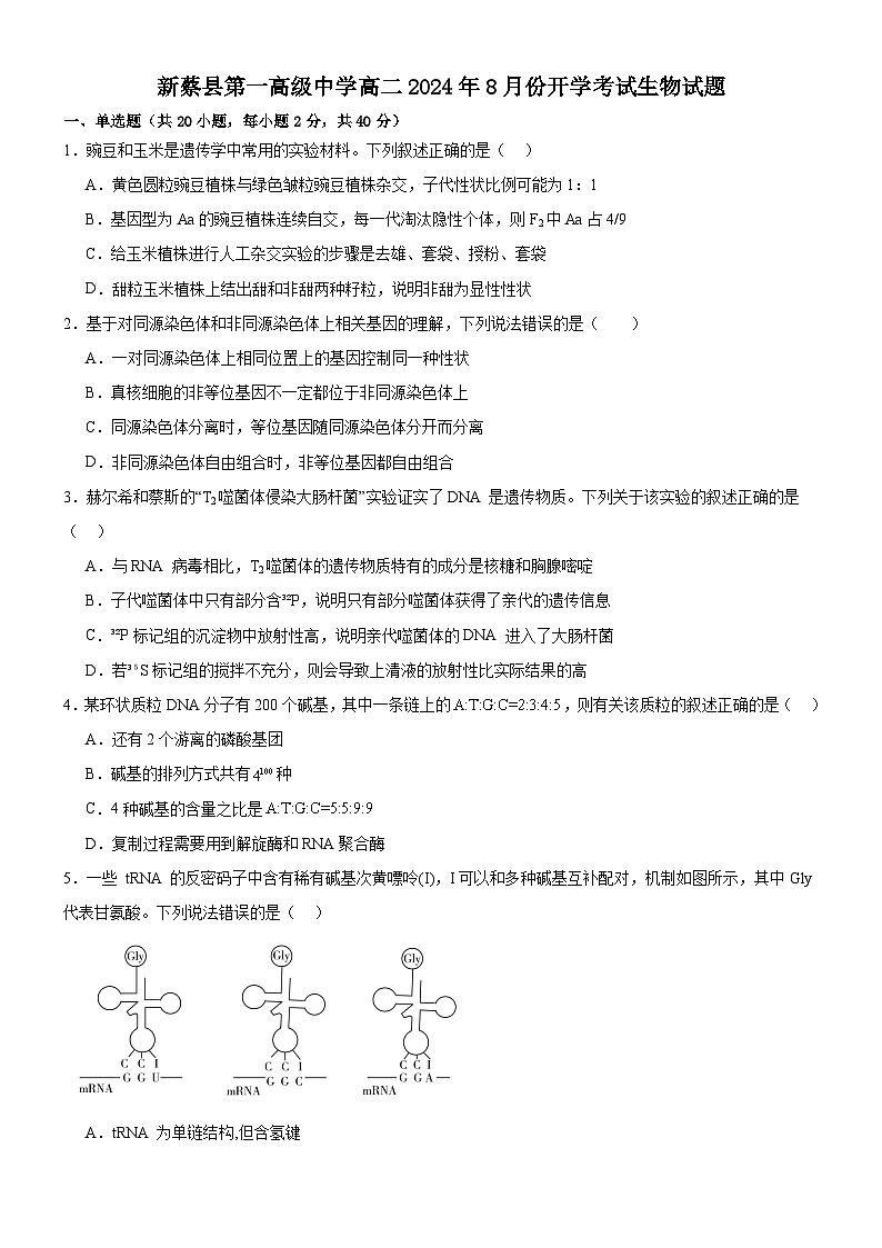 河南省新蔡县第一高级中学2024-2025学年高二上学期开学考试生物试题第1页
