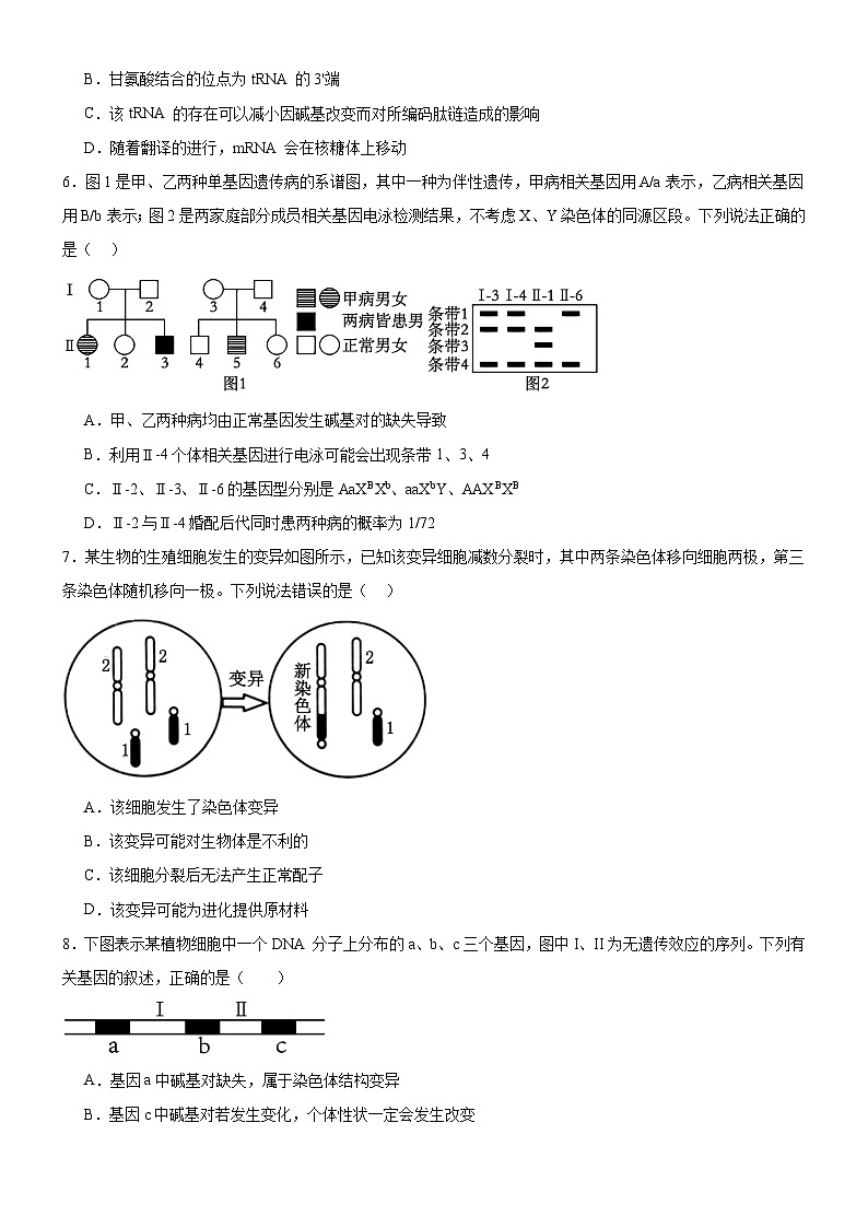 河南省新蔡县第一高级中学2024-2025学年高二上学期开学考试生物试题第2页