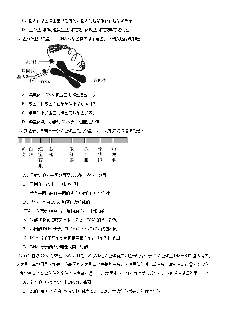 河南省新蔡县第一高级中学2024-2025学年高二上学期开学考试生物试题第3页