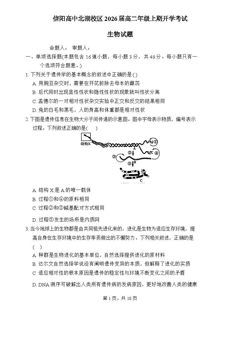 河南省信阳高级中学北湖校区2024--2025学年高二上学期开学考试生物试题第1页