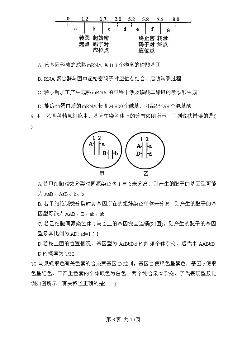 河南省信阳高级中学北湖校区2024--2025学年高二上学期开学考试生物试题第3页