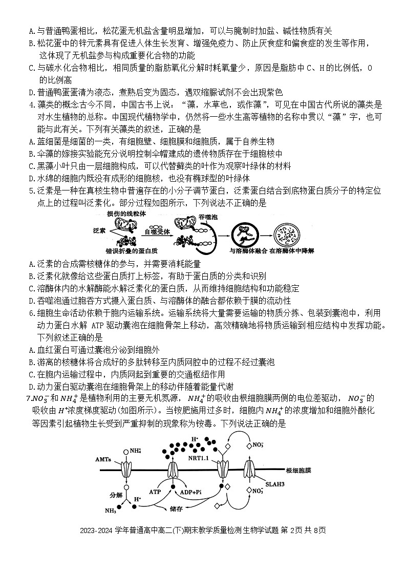 河南省信阳市2023-2024学年高二下学期7月期末生物试题第2页
