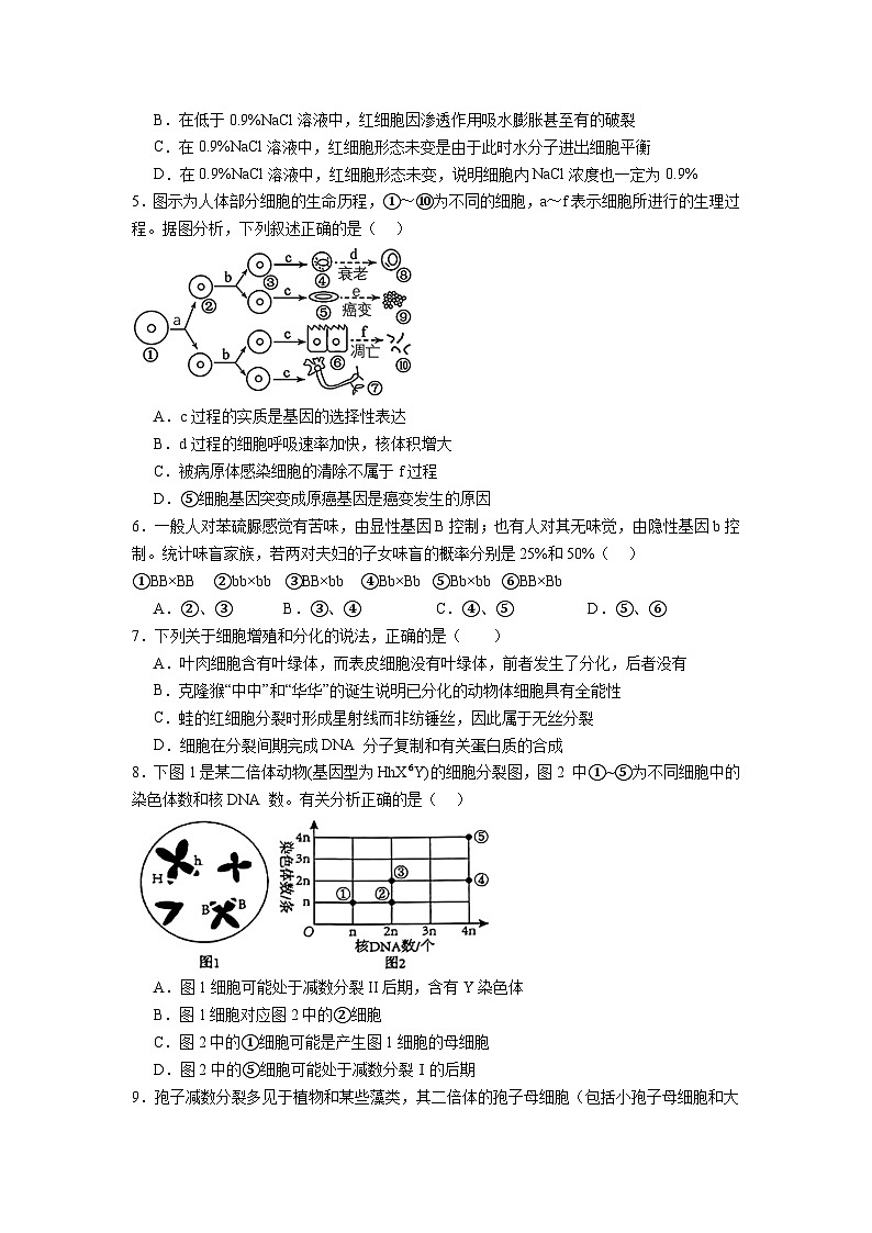 河南省信阳市2023-2024学年高一下学期期末联考生物试题第2页