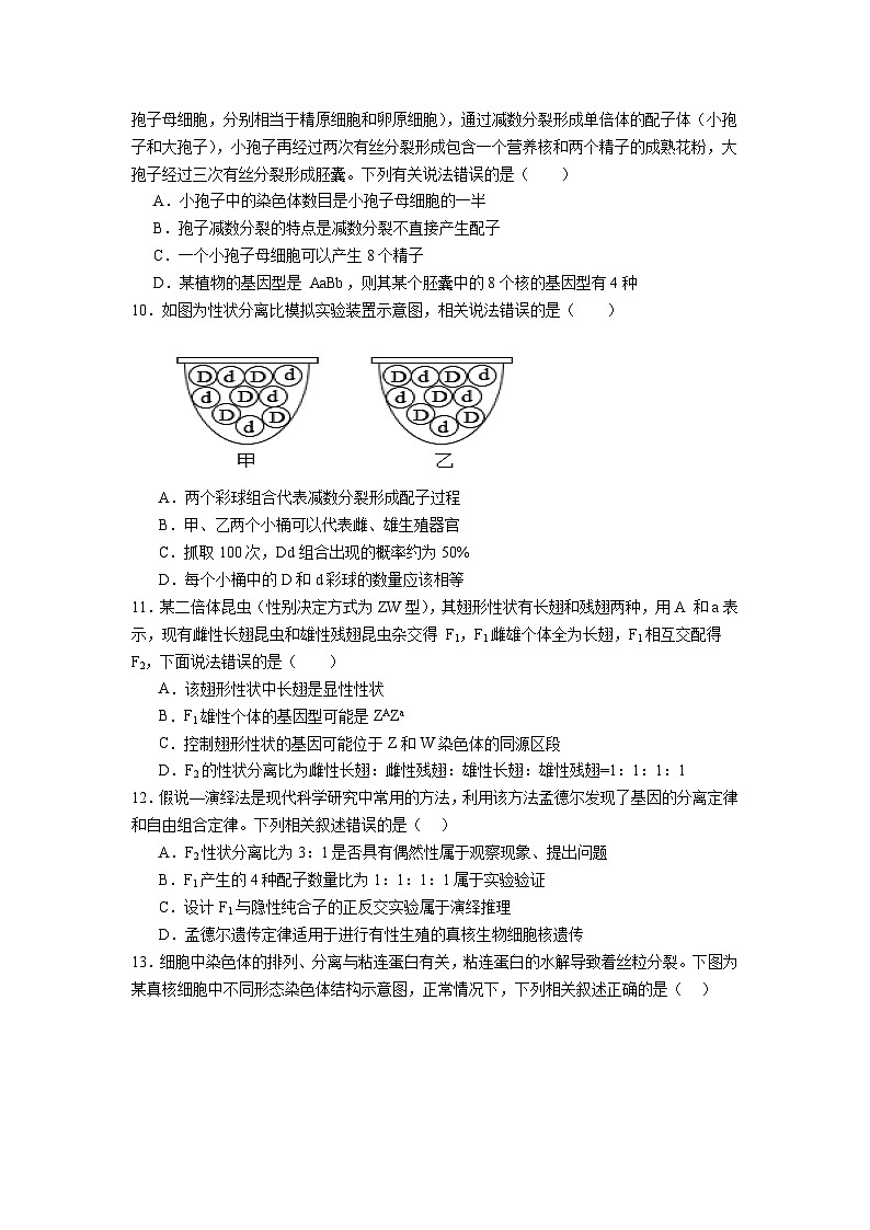 河南省信阳市2023-2024学年高一下学期期末联考生物试题第3页
