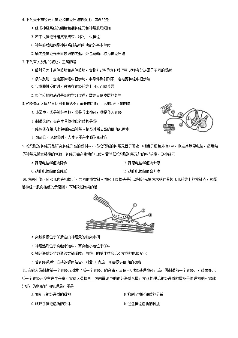 河南省信阳市2024-2025上期期中高二生物试卷第2页