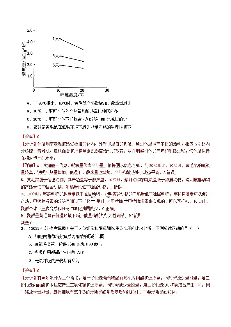 专题05 细胞呼吸（解析版）第2页