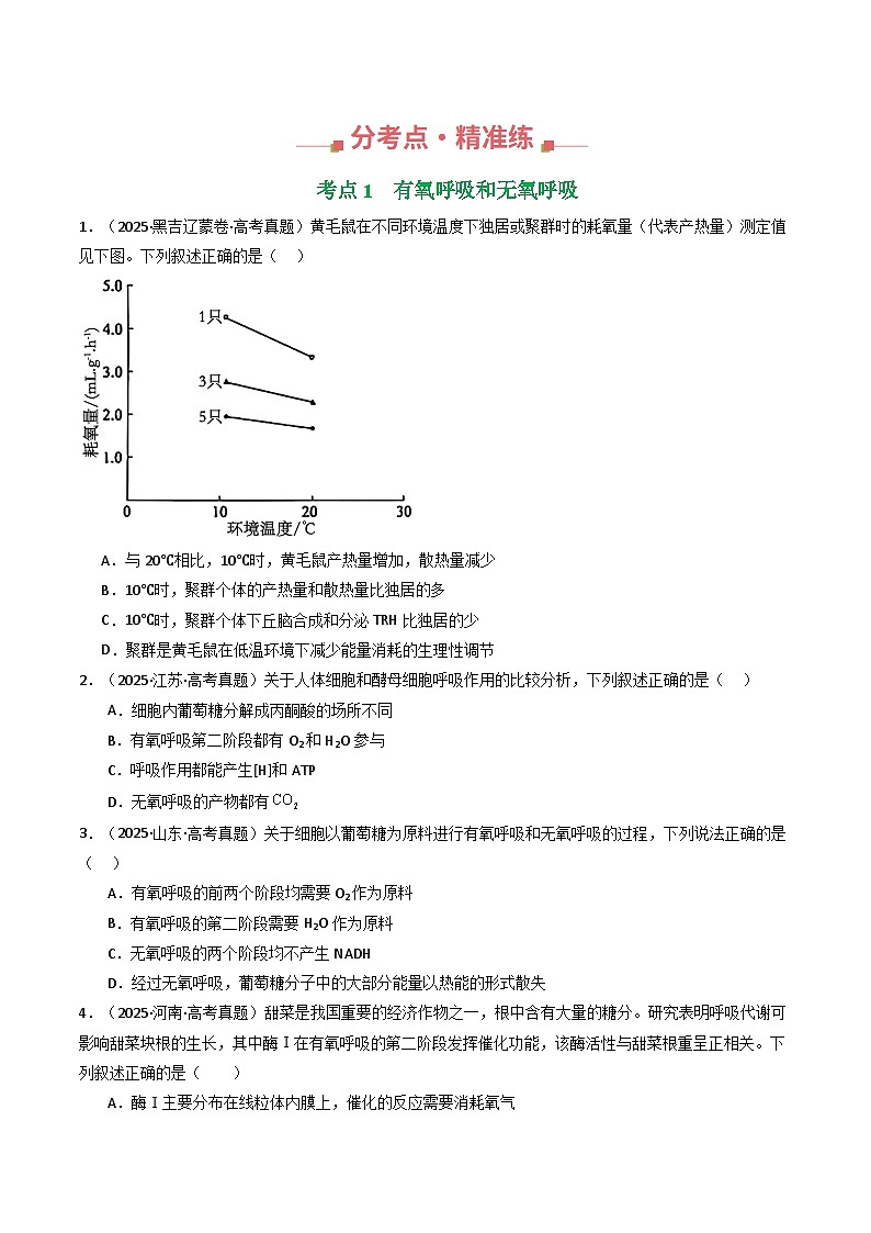 专题05 细胞呼吸（原卷版）第2页