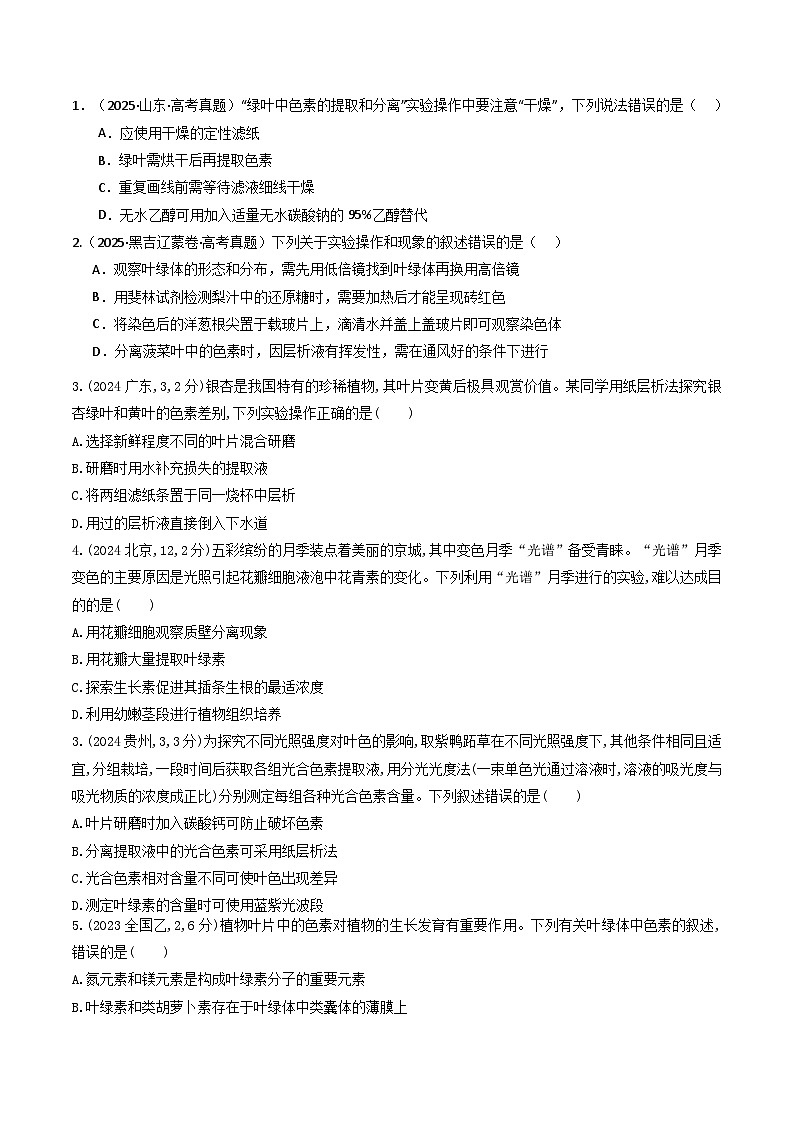 专题06 光合作用（原卷版）第2页