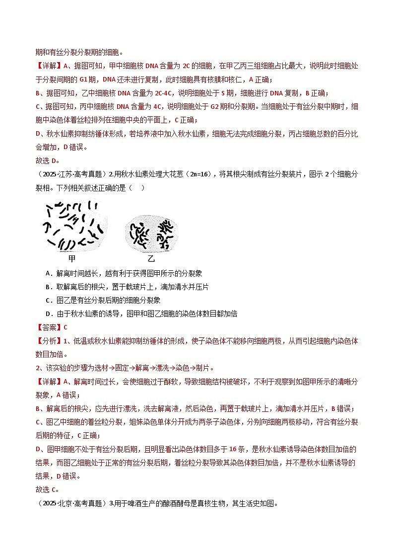 专题07 有丝分裂和减数分裂（解析版）第3页