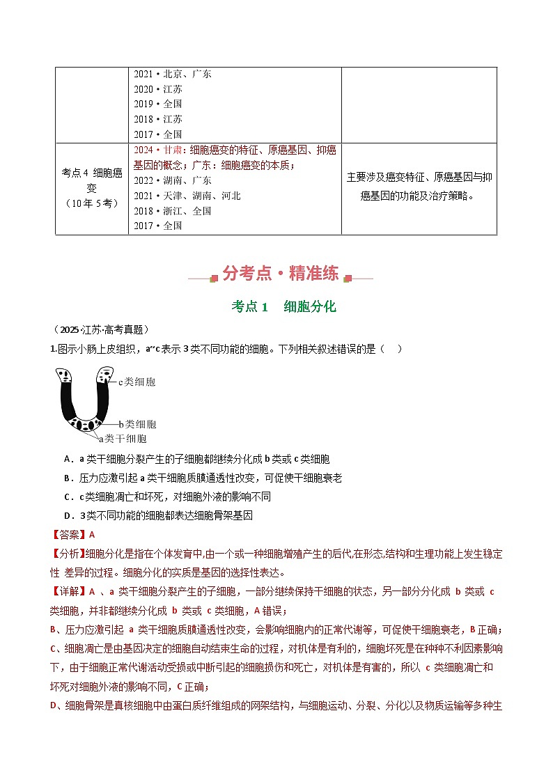专题08 细胞的生命历程（解析版）第2页