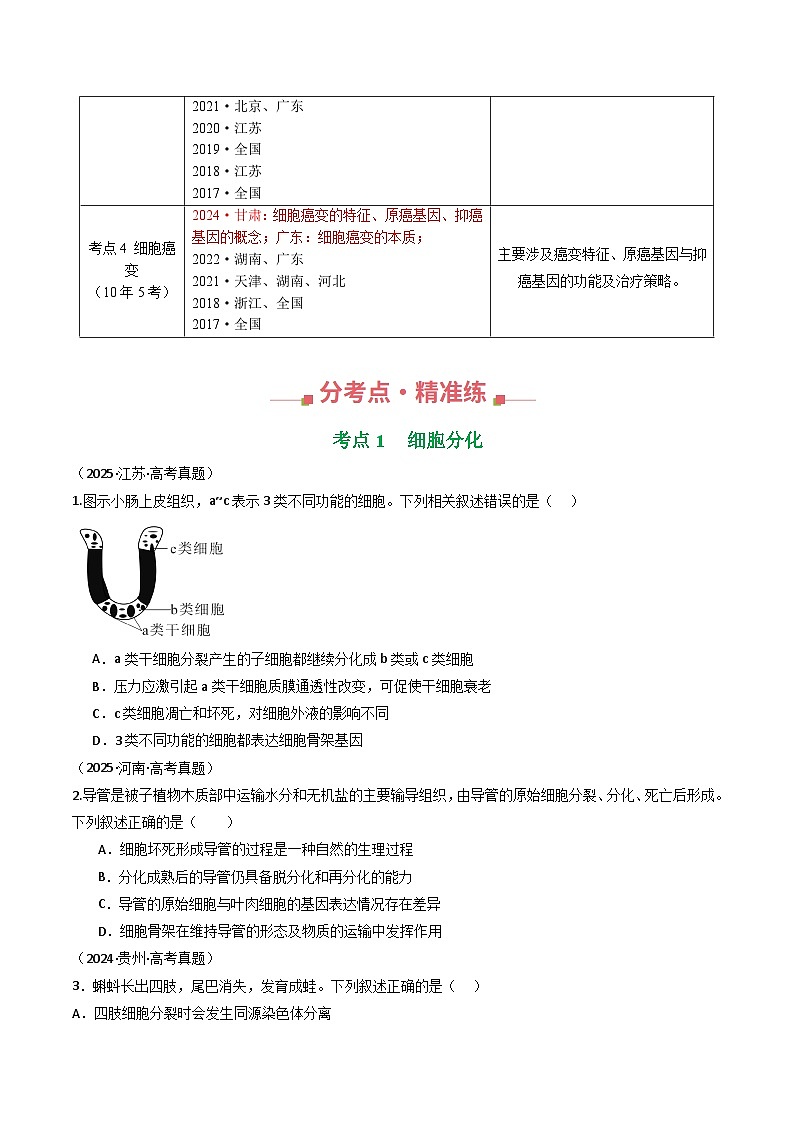 专题08 细胞的生命历程（原卷版）第2页