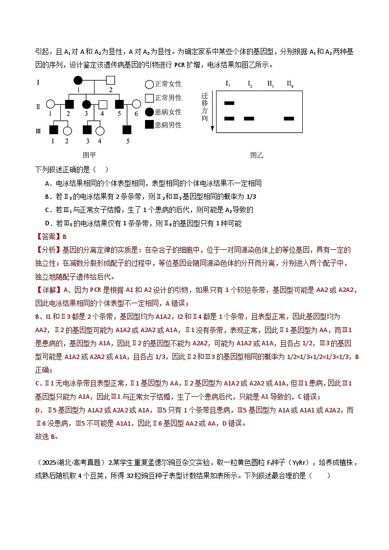 专题09 基因的分离定律（解析版）第2页