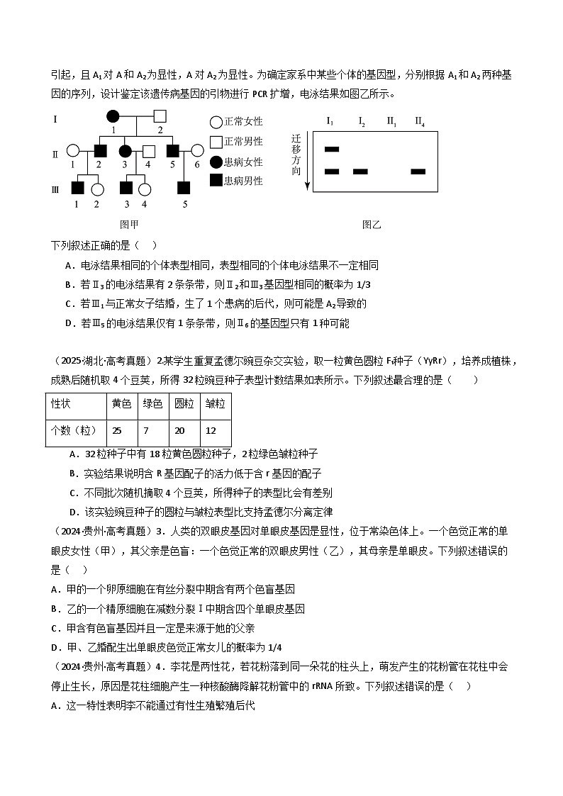专题09 基因的分离定律（原卷版）第2页