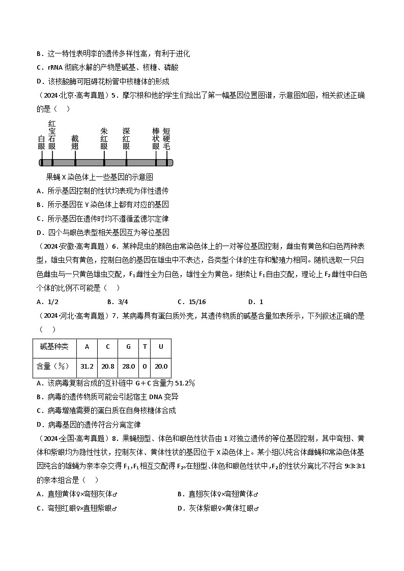 专题09 基因的分离定律（原卷版）第3页