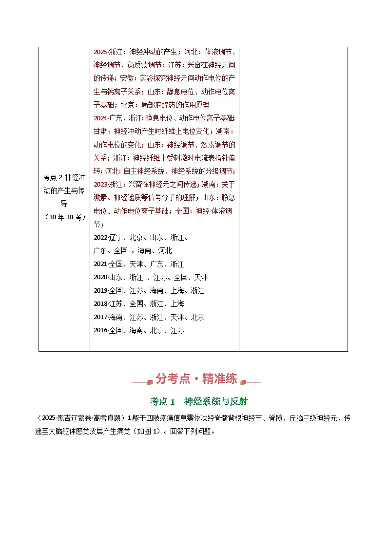 专题16 神经调节（原卷版）第2页