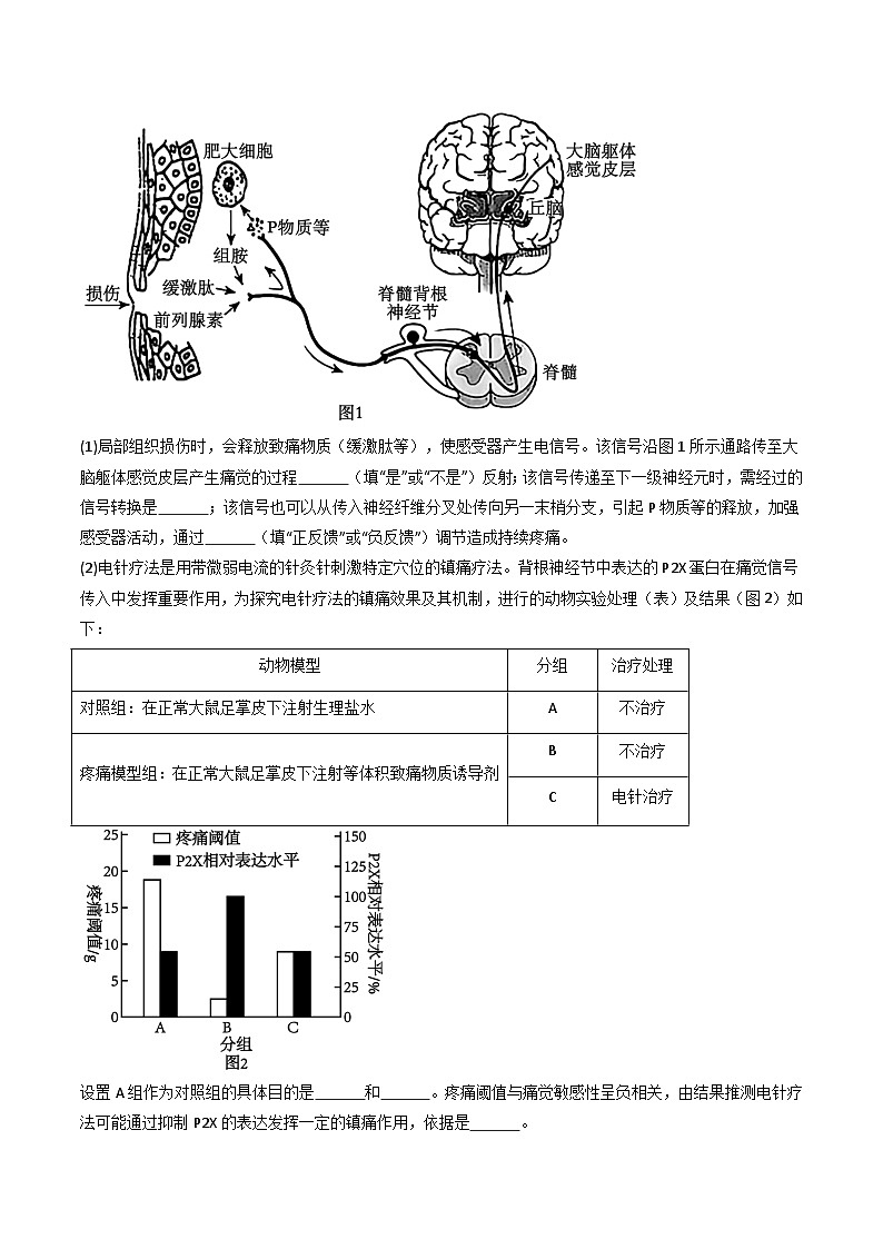 专题16 神经调节（解析版）第3页