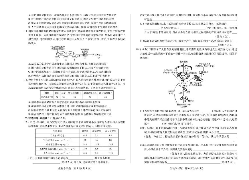 天一大联考河南省2024-2025学年（下）高二年级期末考试生物试卷+答案第3页