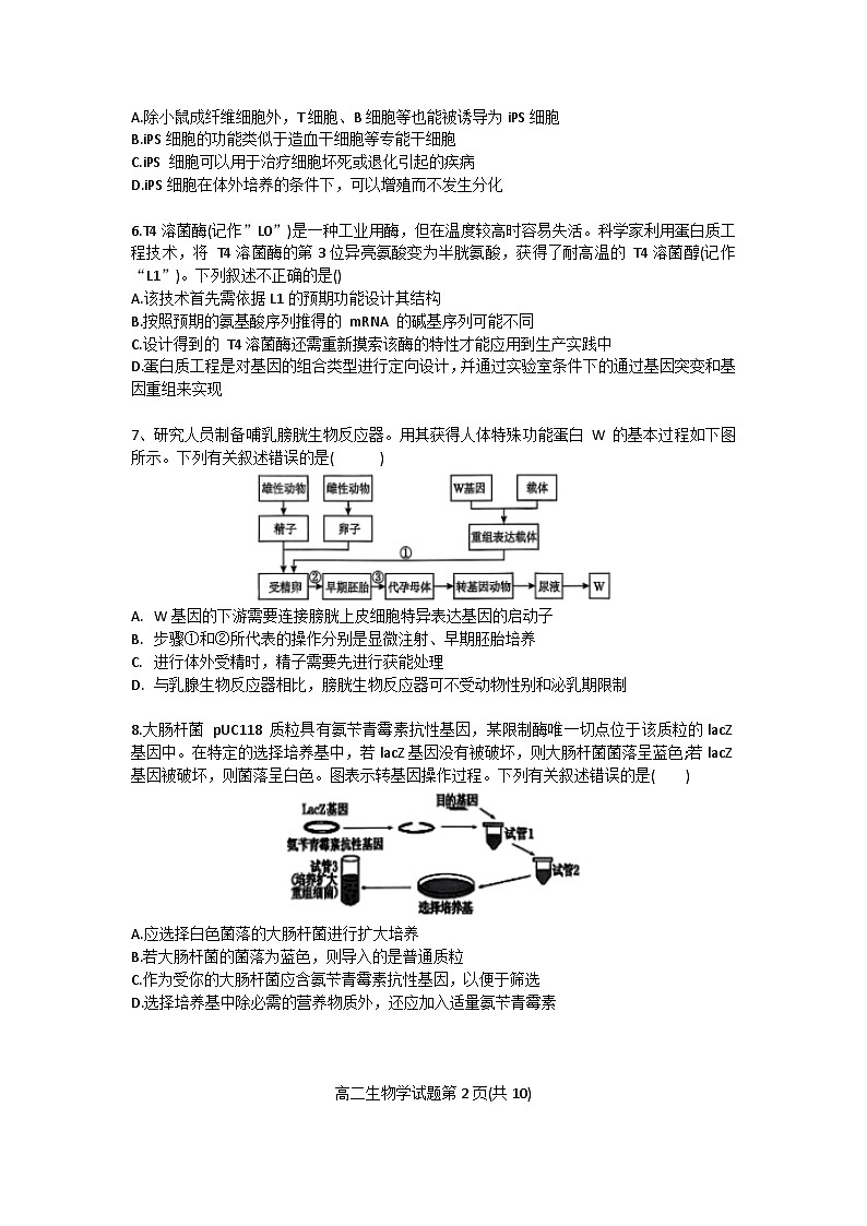 广东省珠海市四校2024-2025学年高二下学期5月教学质量检测生物试卷（有答案）第2页