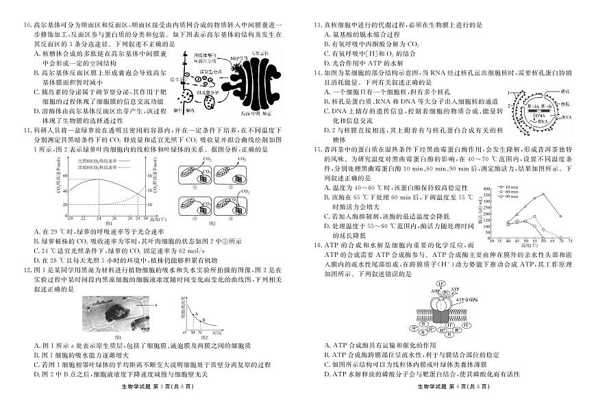 广东省茂名市七校2024-2025学年高一下学期2月月考试题生物试卷+答案第2页