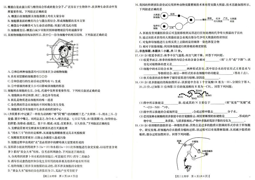 生物-陕西金太阳2025年9月高三上学期联考（15C）试题及答案第2页