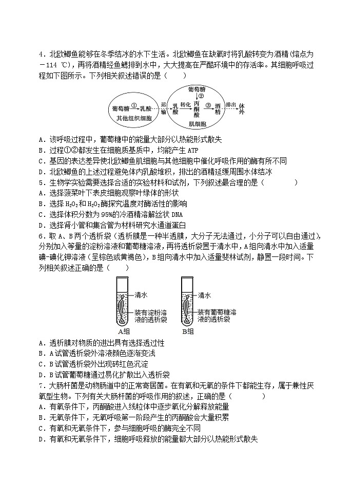东北育才学校2025-2026学年高三上学期高考第一次模拟生物试卷第2页