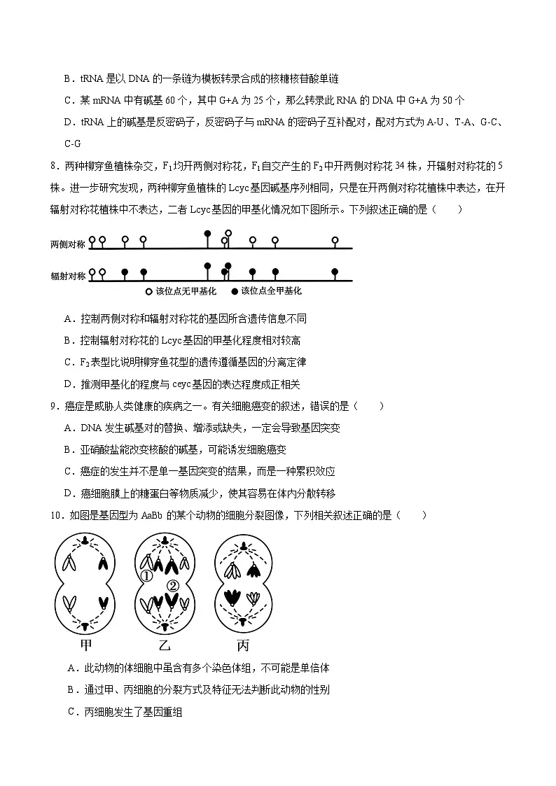 河南省开封市等2地2025-2026学年高二上学期开学考试生物试卷（Word版附答案）第3页