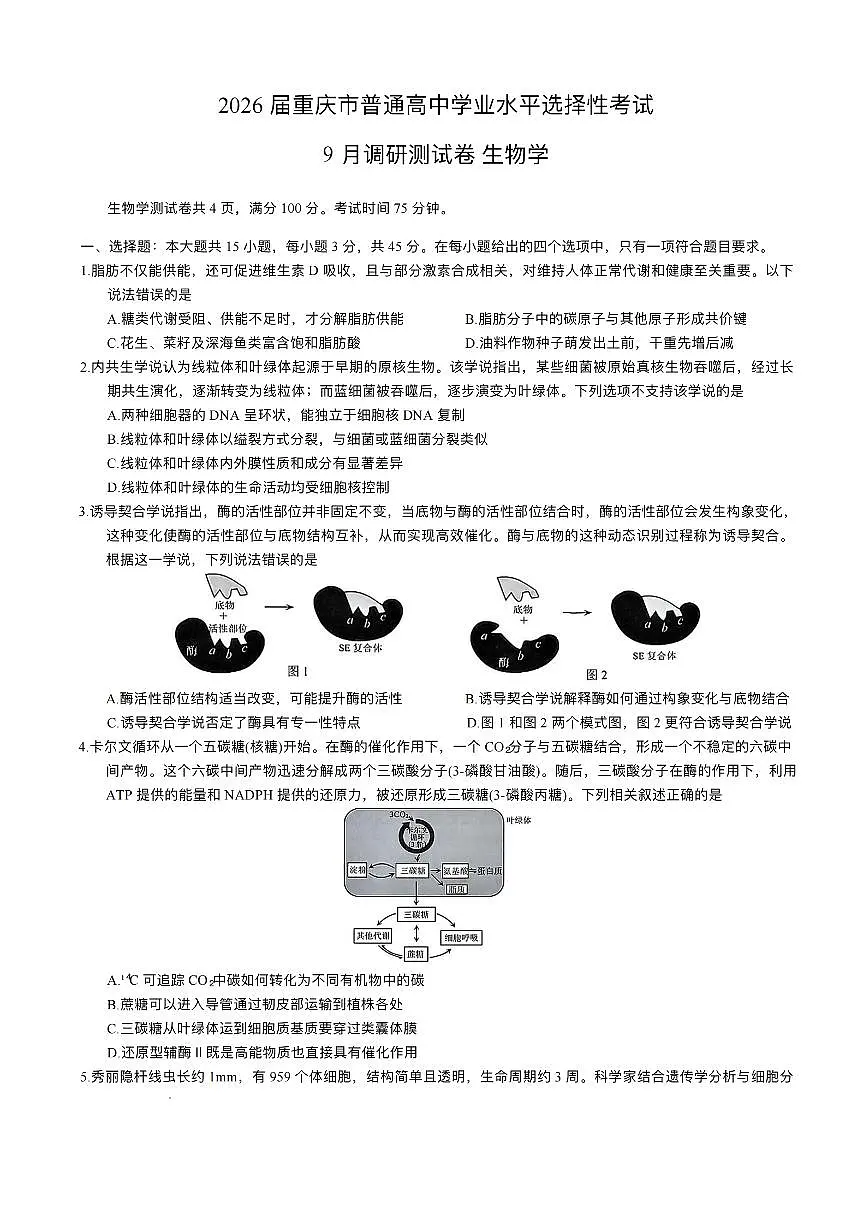 重庆市康德卷2026届高三上学期9月调研测试-生物试题+答案第1页