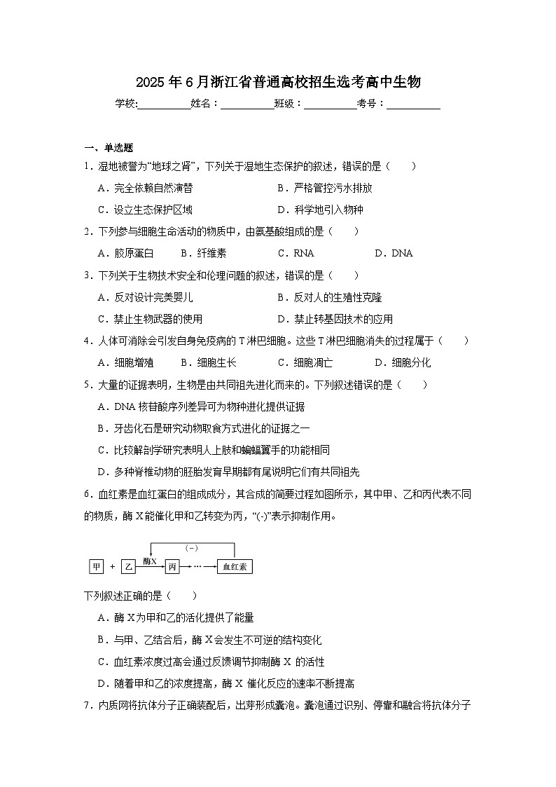 2025年6月浙江省普通高校招生选考高中生物试题（附答案解析）第1页