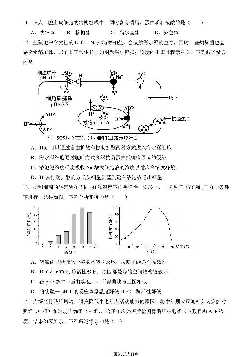 2025北京十一学校顺义学校高三（上）开学考生物（教师版）第3页
