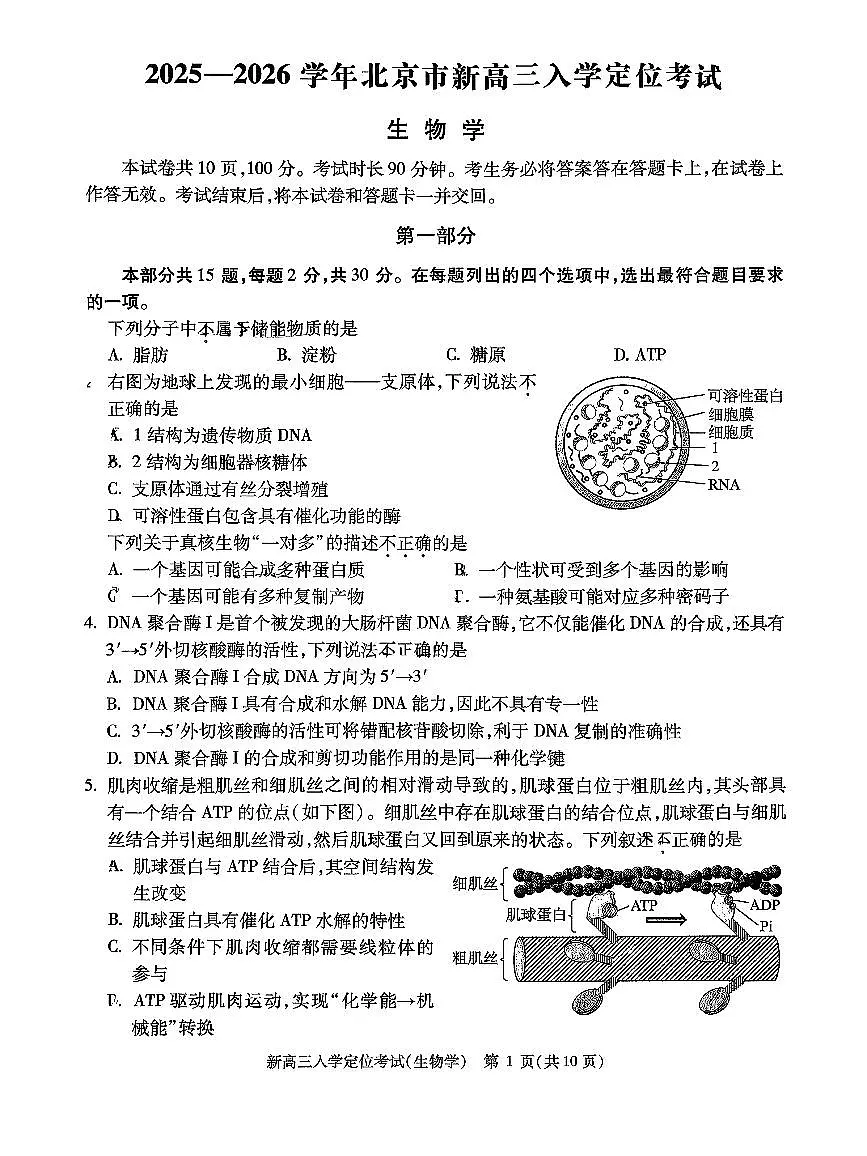 2025北京高三（上）入学定位考生物 有答案第1页