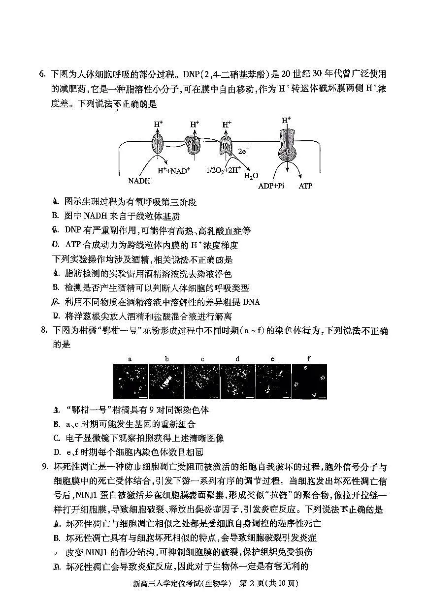 2025北京高三（上）入学定位考生物 有答案第2页