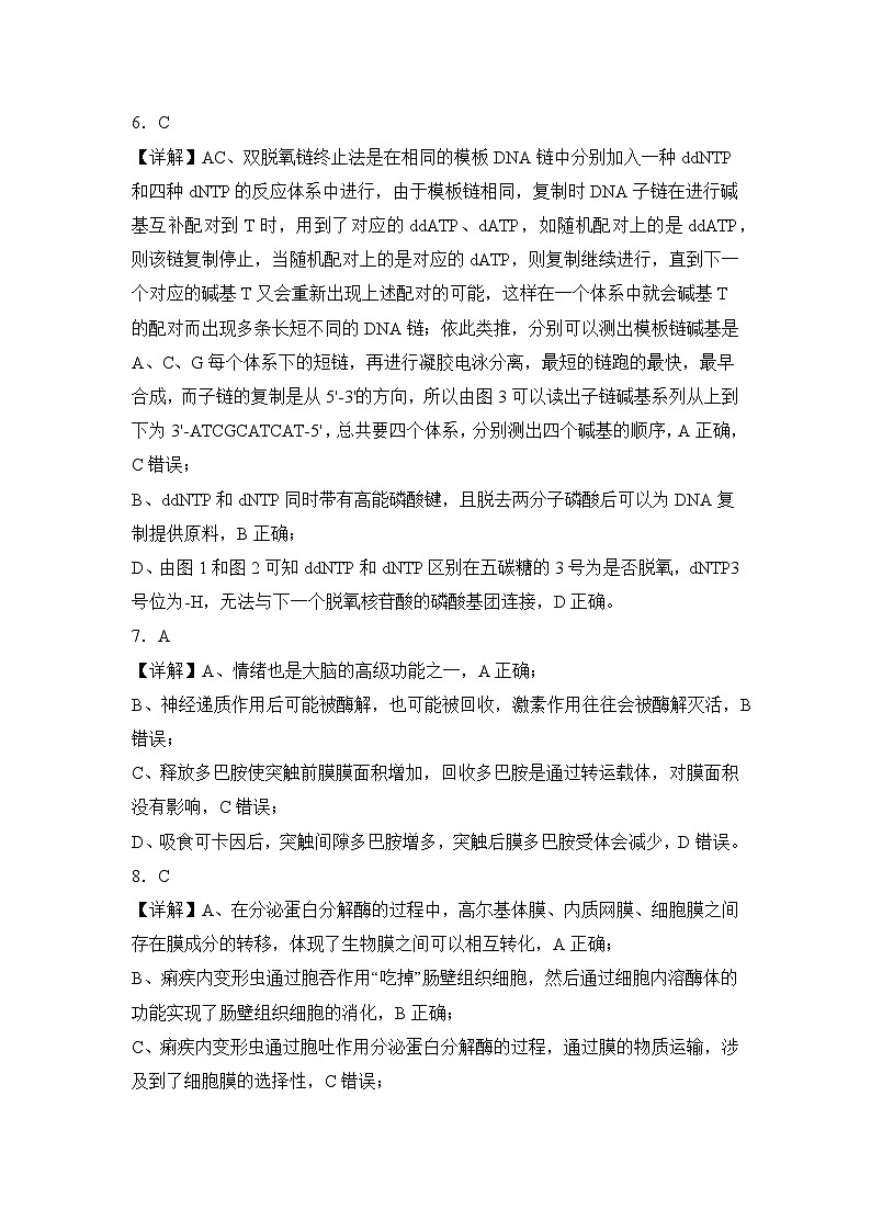 河南省信阳高级中学新校（贤岭校区）、老校（文化街校区）2024-2025学年高二（新高三上期）测试（一）生物答案第3页