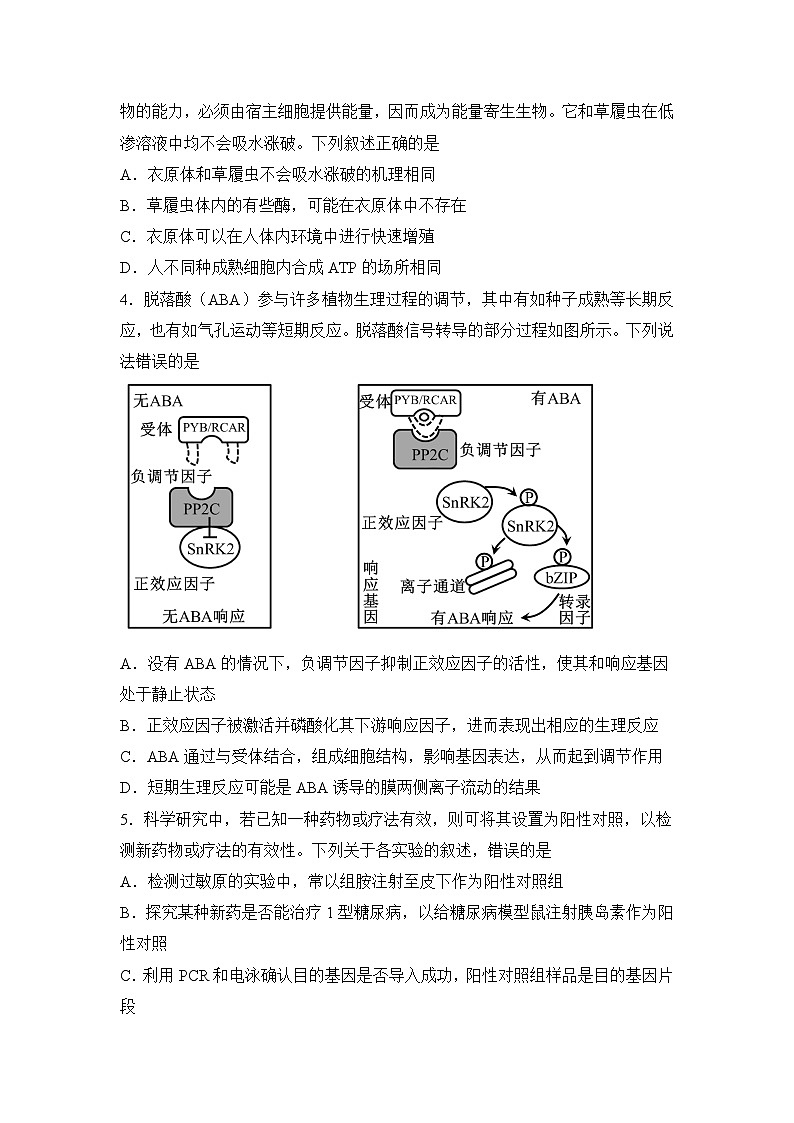 河南省信阳高级中学新校（贤岭校区）、老校（文化街校区）2024-2025学年高二（新高三上期）测试（一）生物试题第2页