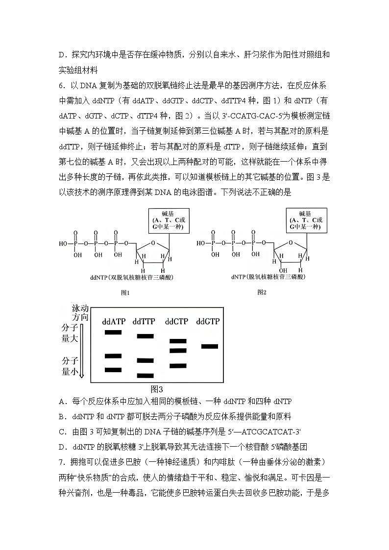河南省信阳高级中学新校（贤岭校区）、老校（文化街校区）2024-2025学年高二（新高三上期）测试（一）生物试题第3页