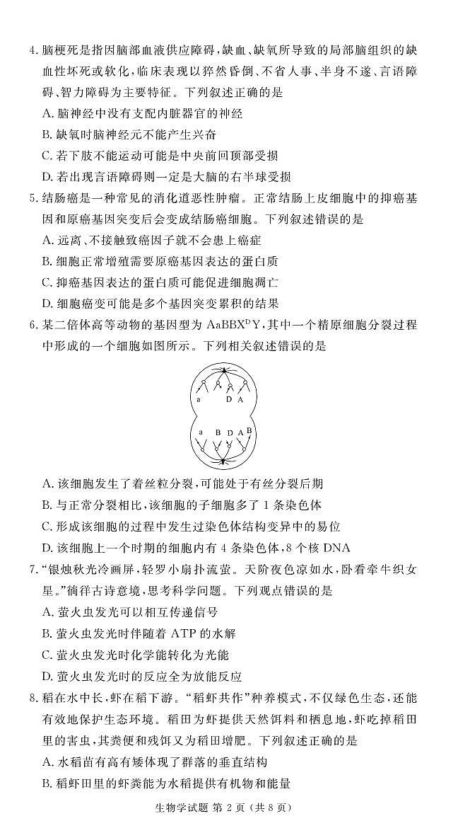 河北省2024届衡水金卷高二下学期期末考试生物试题第2页